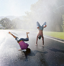 :  gallery