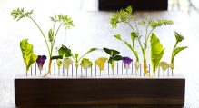 Client: Blue Hill at Stonebarns Restaurant, USA gallery