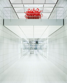 Photo: Greg White - Photographer of the Year 2008 gallery