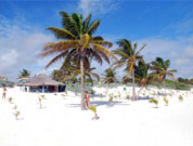 :  gallery
