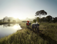 Client: Thomas Cook gallery
