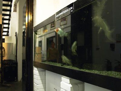 Holborn Studios