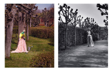 Photographer: Anna Mrazek Kovacic gallery