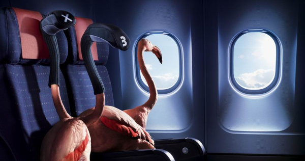 Art Division : Photographer: Staudinger + Franke, Client: South African Airlines