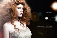 :  gallery