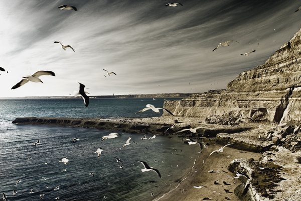 Adrian Markis 