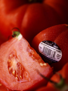 Photographer: Gareth Sambidge for Tesco gallery