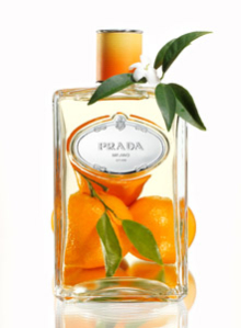 Client: Prada gallery
