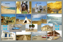 :  gallery