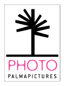 :  gallery