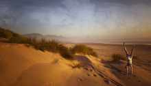 Photographer: Jim Gallop gallery