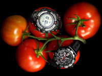 STILL LIFE PHOTOGRAPHY