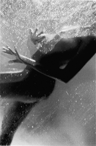 Jorge Parra Photography