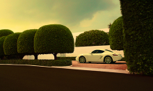 :  gallery