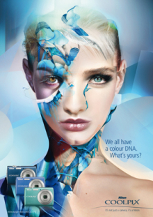 Client: NIKON Coolpix gallery
