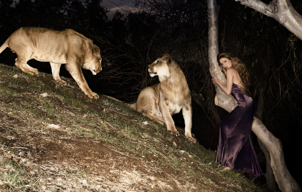 Matthew Mitchell Photography