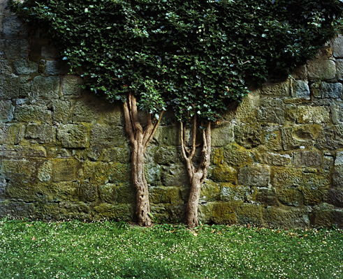 Nikola Tacevski Photography