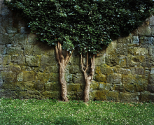 :  gallery