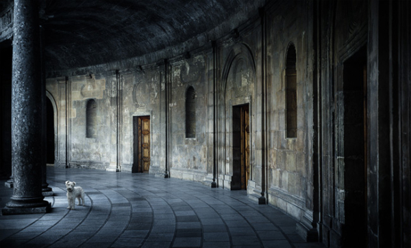 Dirk Karsten Photography