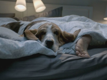  Ikea Commercial gallery