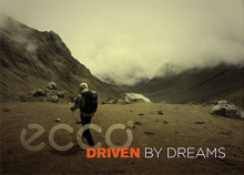 Client: Ecco gallery