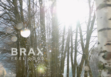 Client: BRAX gallery