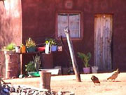 :  gallery