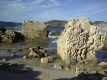 :  gallery
