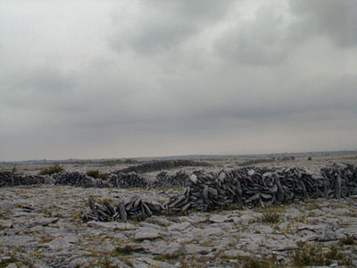 Dublin [Ireland] : Swann Productions