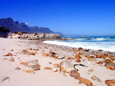 Cape Town [South Africa] : Euro connection