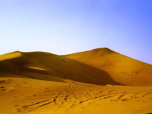 :  gallery