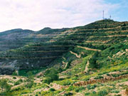:  gallery