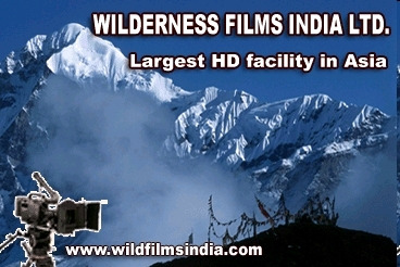 Wilderness Films India Ltd.