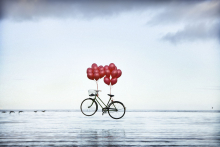 Title: Angela's Bike gallery