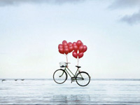 Sean Breithaupt and Yvette Monahan Photography