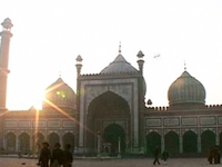 Wilderness Films India Ltd.