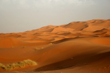 :  gallery