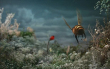  Haagen Dazs 'Honey Bee' gallery