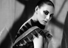 :  gallery