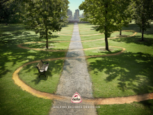 Client: Gallus gallery