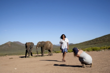  catalogue shoot with wild animals gallery