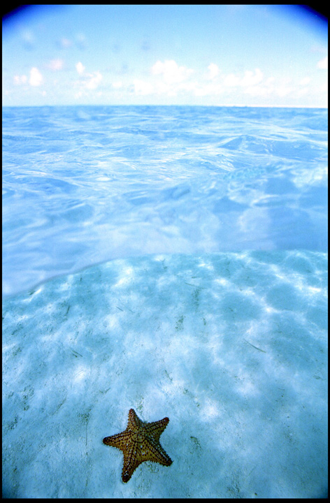 Andrew Kaufman : Title: Starfish, Location: Exuma Bahamas, Client: OUTSIDE magazine
