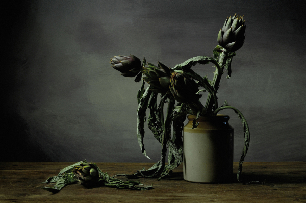 Daniel Herendi Photography