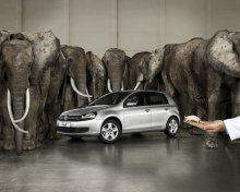 Client: VW gallery