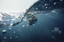 Client: The Surfrider Foundation gallery