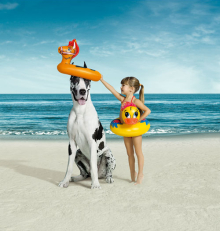 Client: Purina gallery