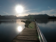 :  gallery