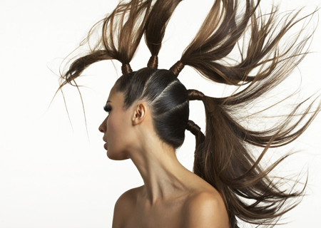 The Sharon Brandman Agency