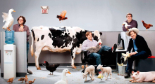 Photo: Gregg Segal for Fortune Magazine gallery