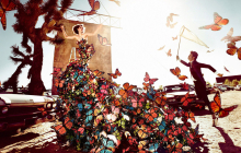Photographer: Kristian Schuller gallery